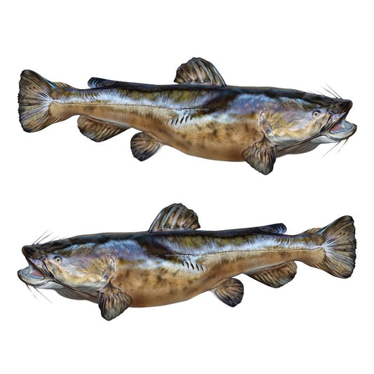 Flathead Catfish Large Decals, Stickers | 16-60" | Left/Right Facing - madfishlab.com