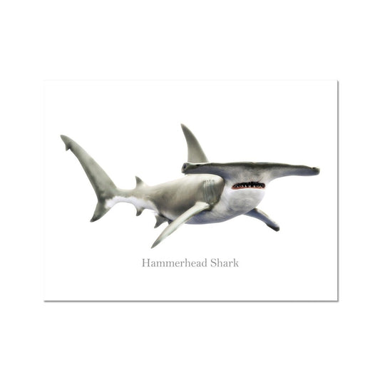 Hammerhead Shark - Art Print - madfishlab.com