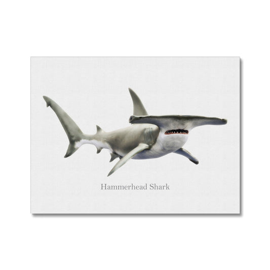 Hammerhead Shark - Canvas Print - madfishlab.com