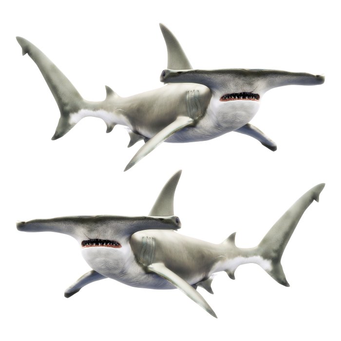 Hammerhead Shark Large Decals, Stickers | 16-60" | Left/Right Facing - madfishlab.com