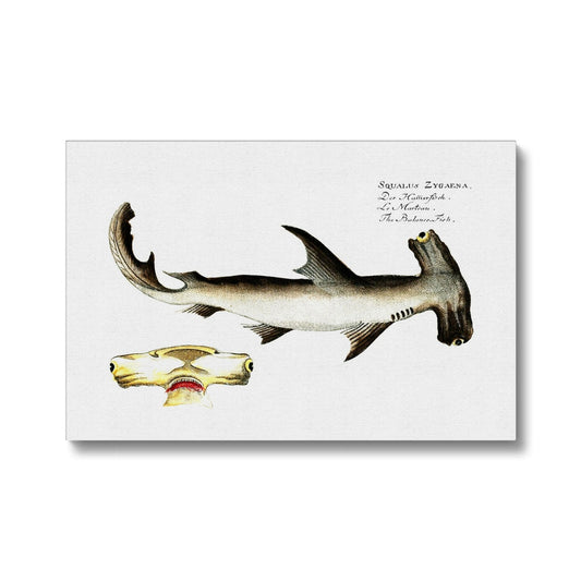 Hammerhead Shark - Vintage Canvas - madfishlab.com