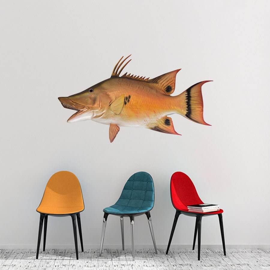 Large hogfish wall decal in a modern room with colorful chairs, perfect for fish enthusiasts and customizable up to 70 inches.