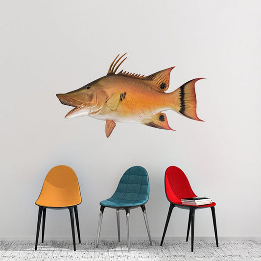 Hogfish Wall Decals | 40"-60" | Left/Right Facing - madfishlab.com