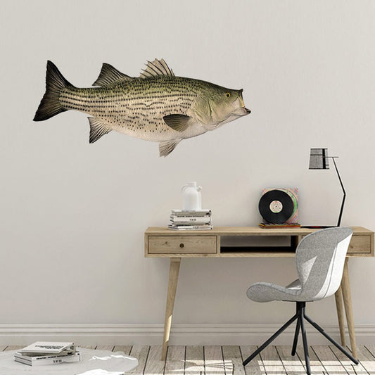 Hybrid Striped Bass Wall Decals | 40"-60" | Left/Right Facing - madfishlab.com