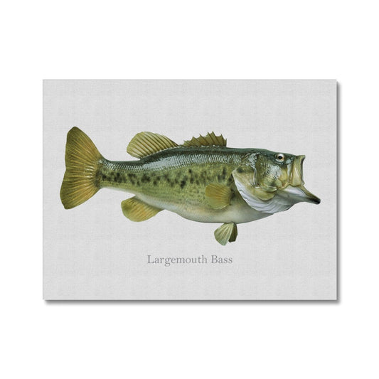 Largemouth Bass - Canvas Print - madfishlab.com