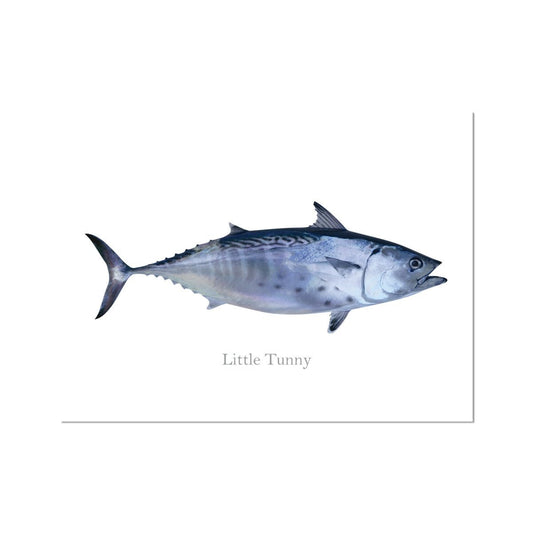 Little Tunny Tuna - Art Print - madfishlab.com