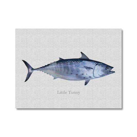 Little Tunny Tuna - Canvas Print - madfishlab.com