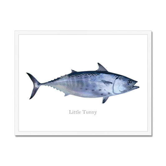 Little Tunny Tuna - Framed Print - madfishlab.com