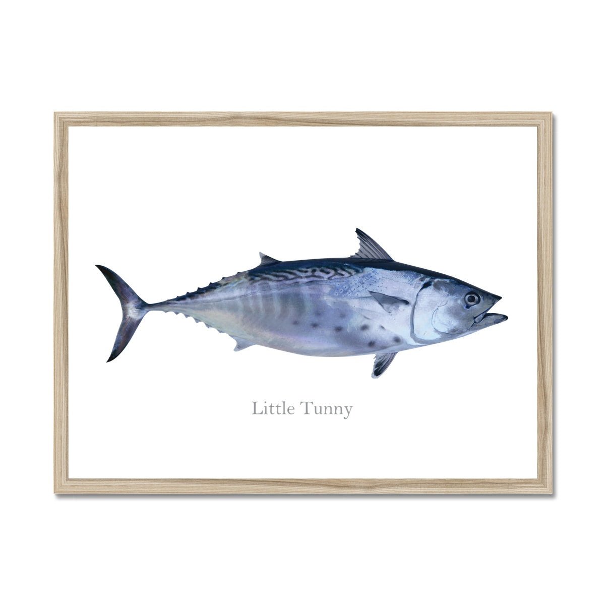 Little Tunny Tuna - Framed Print - madfishlab.com