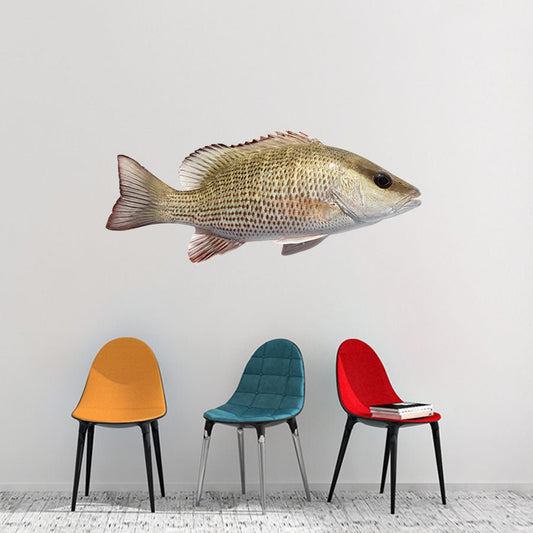 Mangrove Snapper Wall Decals | 40"-60" | Left/Right Facing - madfishlab.com