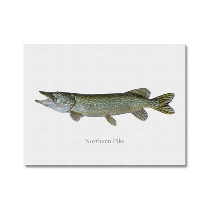 Northern Pike - Canvas Print - madfishlab.com