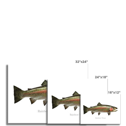 Rainbow Trout - Art Print - madfishlab.com