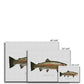 Rainbow Trout - Canvas Print - madfishlab.com