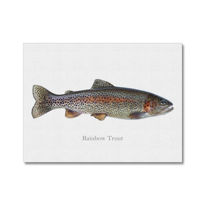 Rainbow Trout - Canvas Print - madfishlab.com