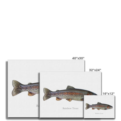 Rainbow Trout - Canvas Print - madfishlab.com