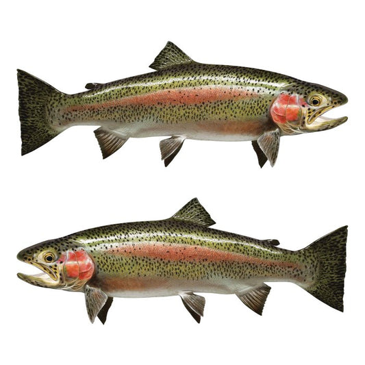 Rainbow Trout Large Decals, Stickers | 16-60" | Left/Right Facing - madfishlab.com
