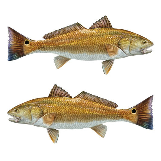 Red Drum, Redfish Large Decals, Stickers | 16-60" | Left/Right Facing - madfishlab.com