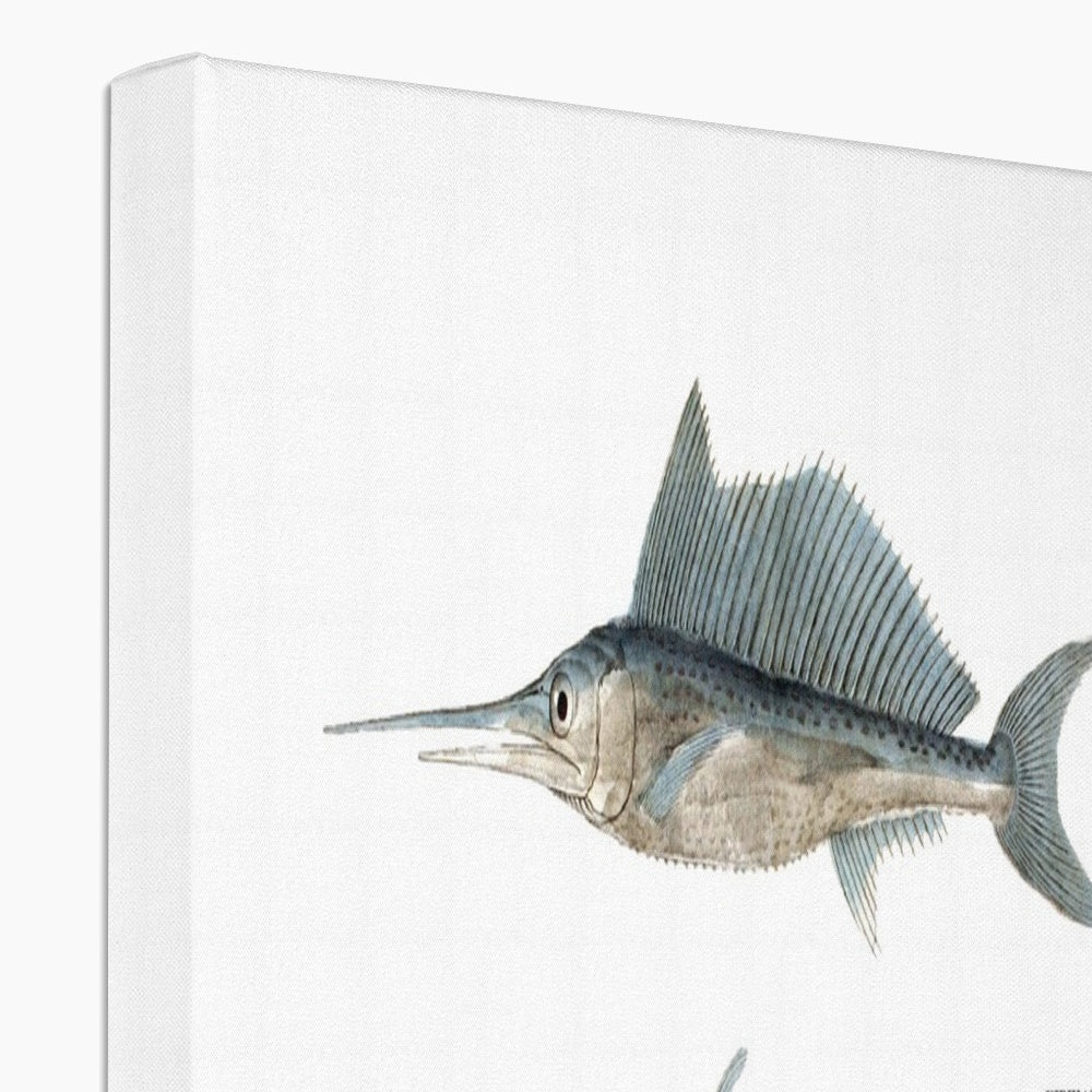 Sailfish and Swordfish - Vintage Canvas - madfishlab.com
