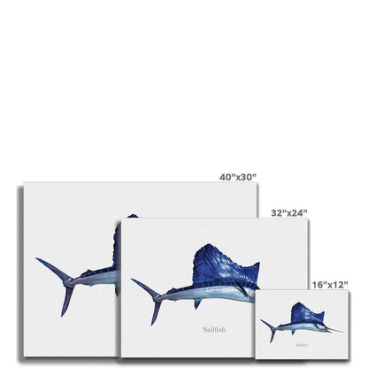 Sailfish - Canvas Print - madfishlab.com