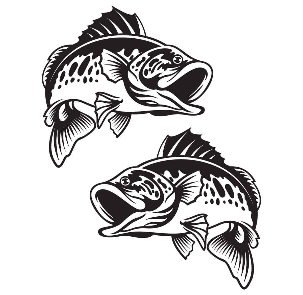 Smallmouth Bass decals left and right facing.