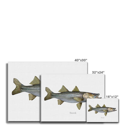 Snook - Canvas Print - madfishlab.com