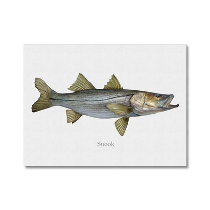 Snook - Canvas Print - madfishlab.com