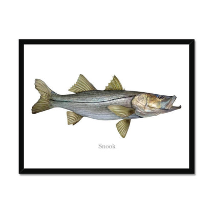 Snook - Framed Print - madfishlab.com