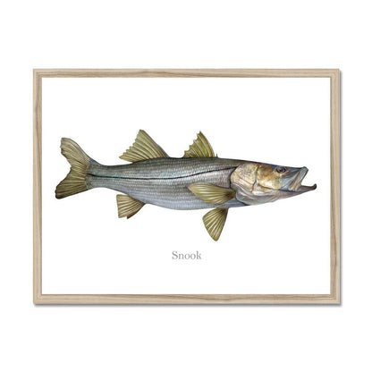 Snook - Framed Print - madfishlab.com