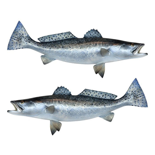 Spotted Seatrout Large Decals, Stickers | 16-60" | Left/Right Facing - madfishlab.com