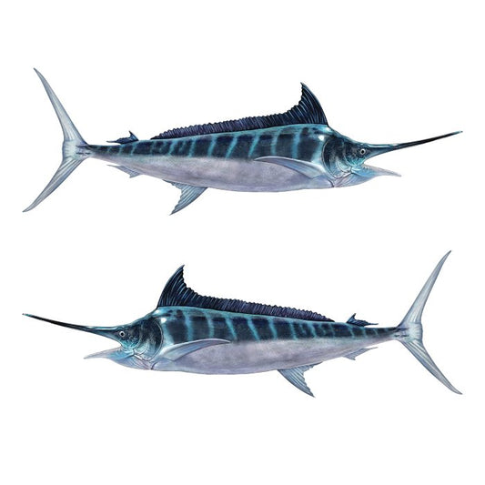 Striped Marlin Large Decals, Stickers | 16-60" | Left/Right Facing - madfishlab.com
