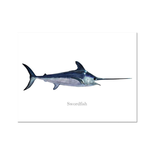 Swordfish - Art Print - madfishlab.com