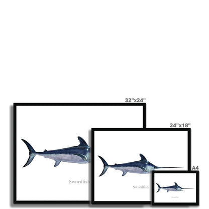 Swordfish - Framed Print - madfishlab.com