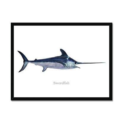 Swordfish - Framed Print - madfishlab.com