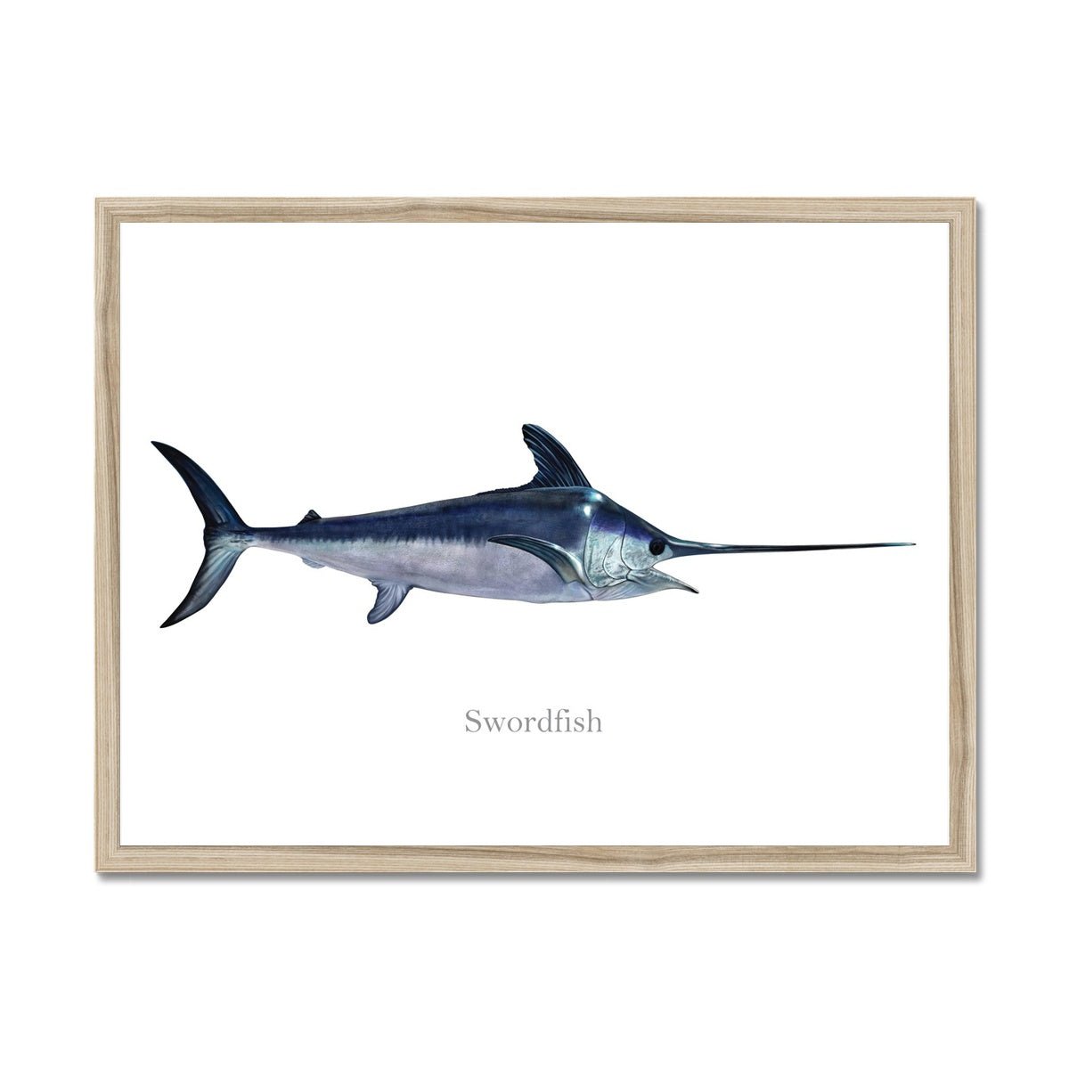 Swordfish - Framed Print - madfishlab.com
