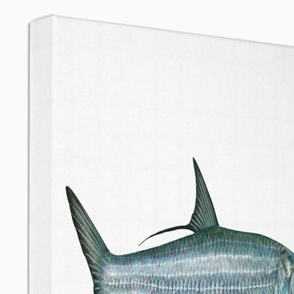 Tarpon - Canvas Print - madfishlab.com