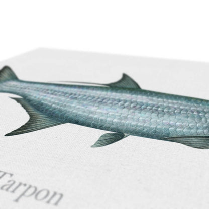 Tarpon - Canvas Print - madfishlab.com