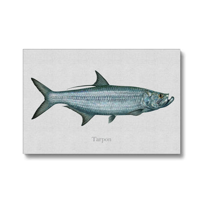 Tarpon - Canvas Print - madfishlab.com